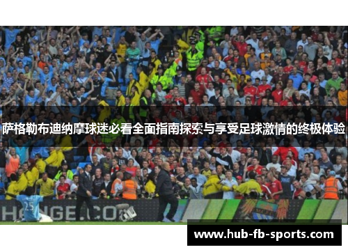 萨格勒布迪纳摩球迷必看全面指南探索与享受足球激情的终极体验